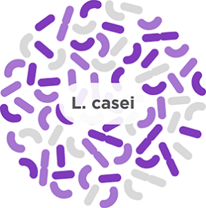 Lactobacillus casei​