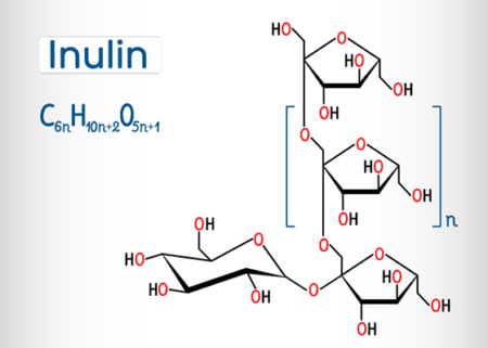 inulin prebiotikum