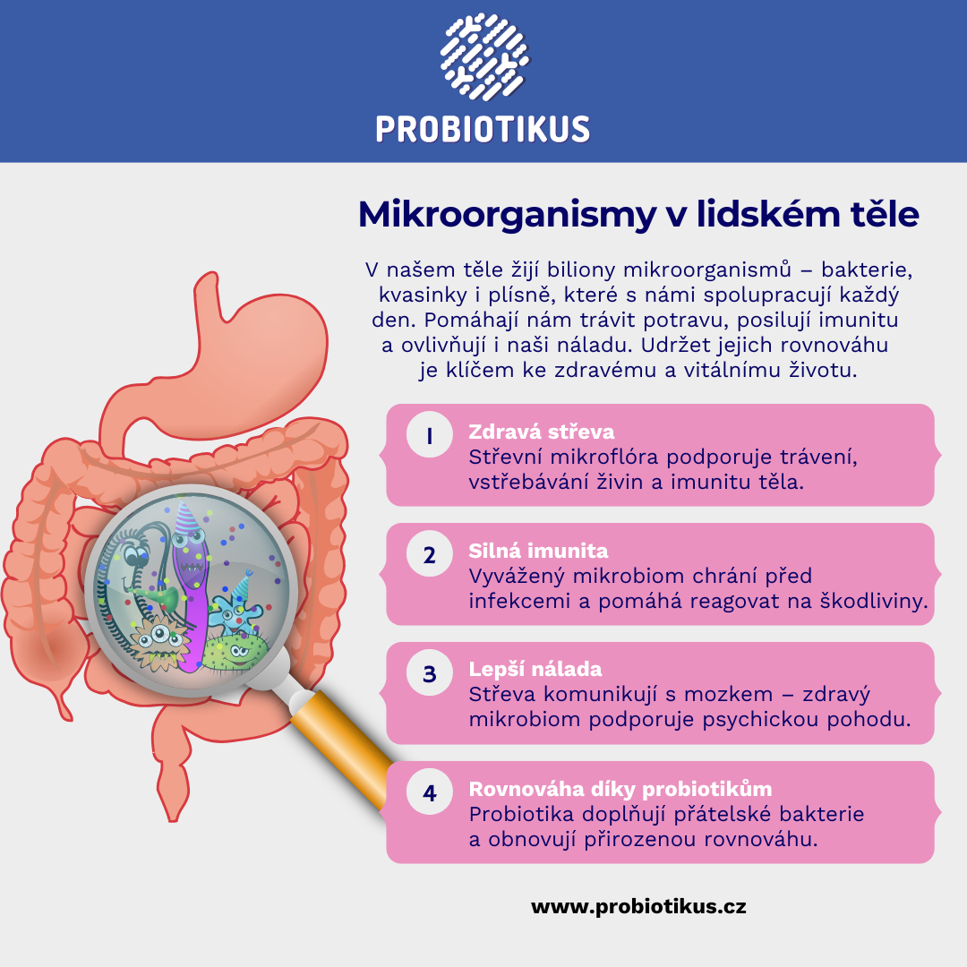 Infografika: Jak mikroorganismy ovlivňují naše zdraví - jejich funkce