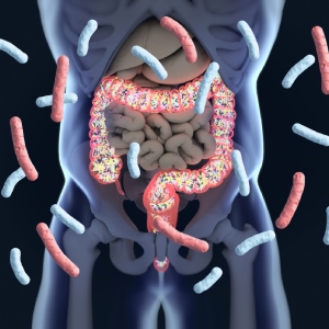 Jak mikroorganismy pomáhají? - jejich funkce