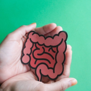 Mikroorganismy a probiotika